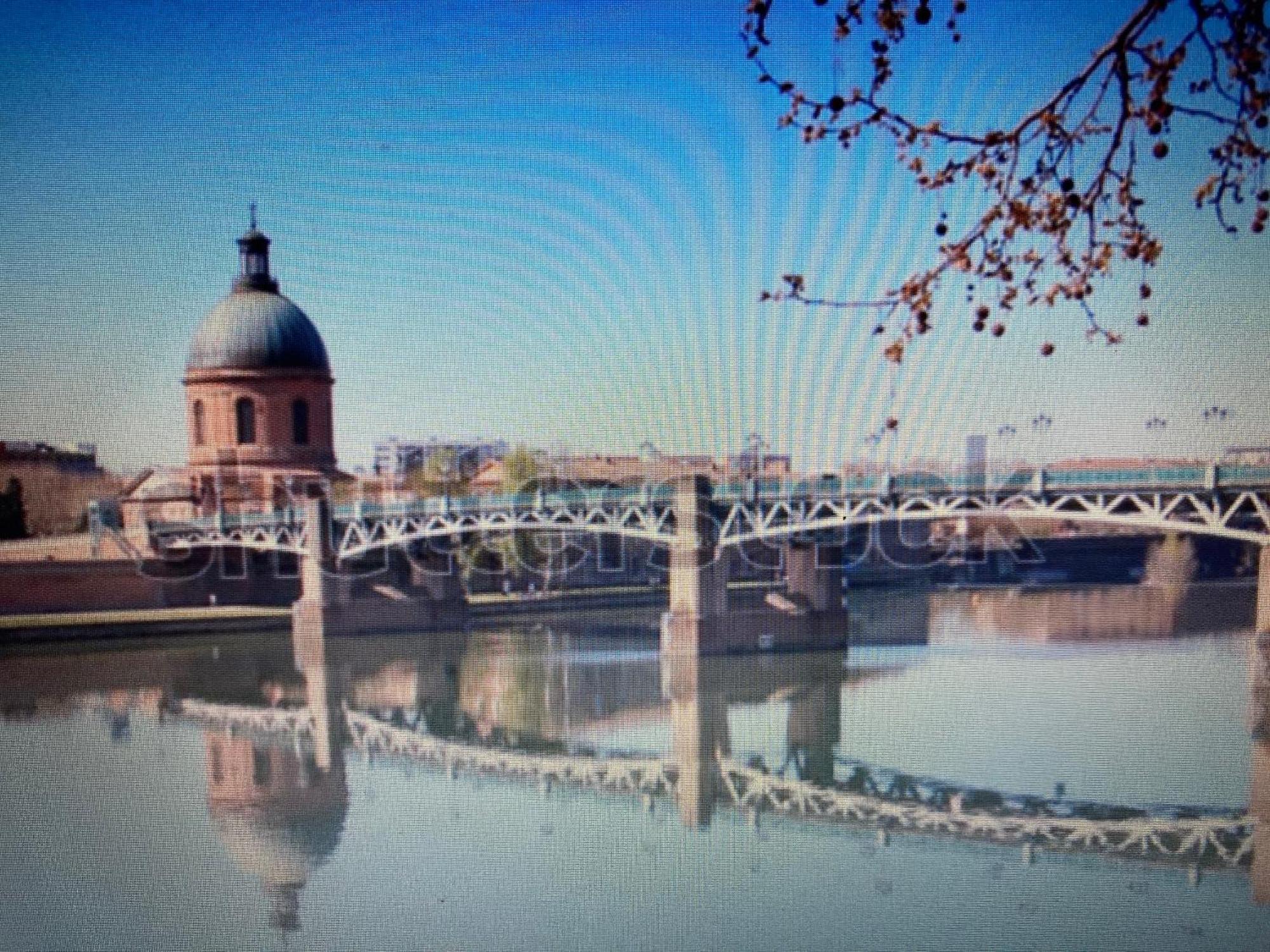 Le Saint Cyp - Toulouse - Appart Entier Cosy Et Au Calme, Proche Du Metro Kültér fotó